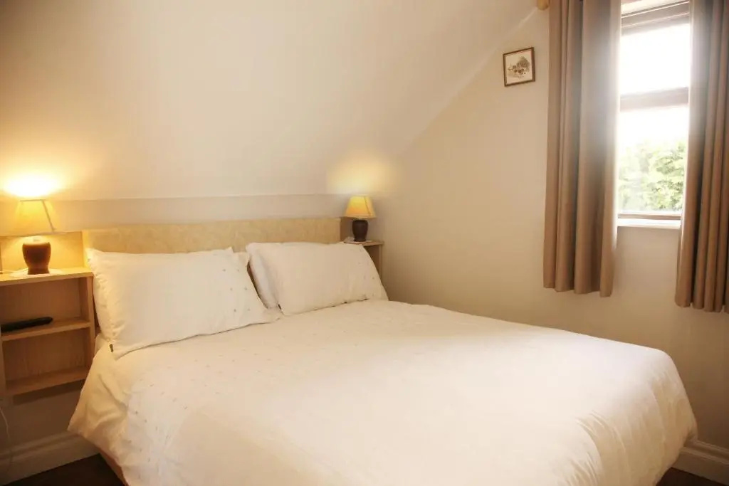 Standard Double Family room (full double bed)
