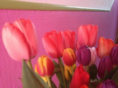 B&B La vie en rose by null
