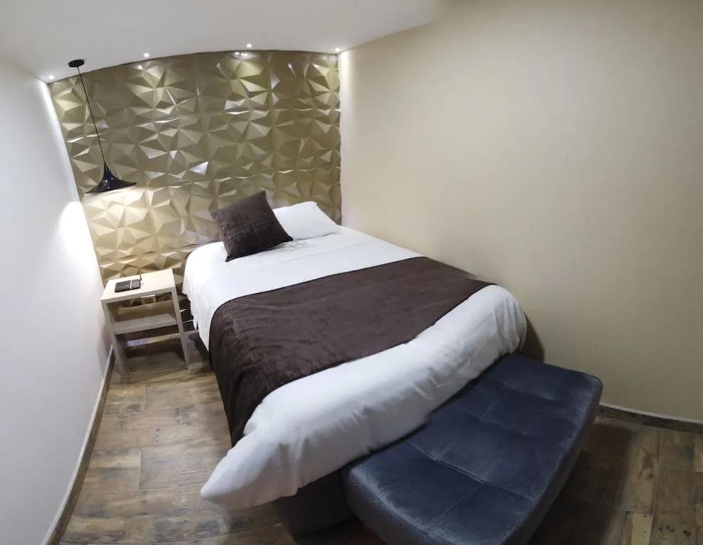 Hotel Boutique Mendoza - Général
