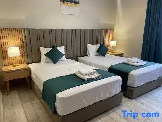 Deluxe Double room (twin beds)