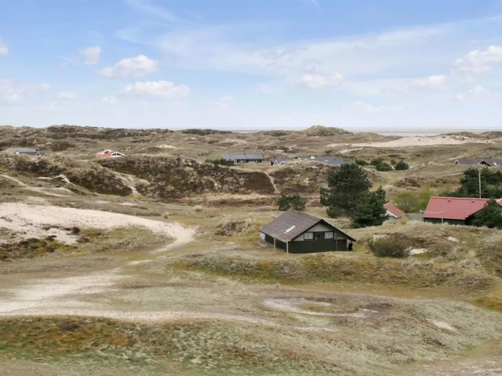 "Spasoje" - 1.5km from the sea in Western Jutland