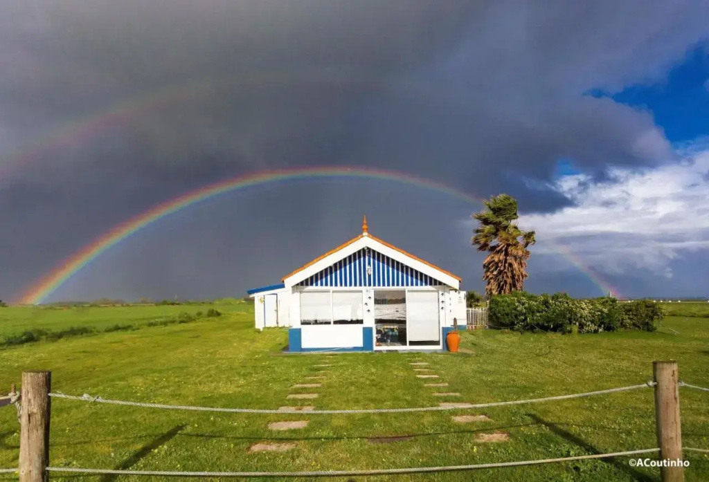 Casa dos Flamingos - Général