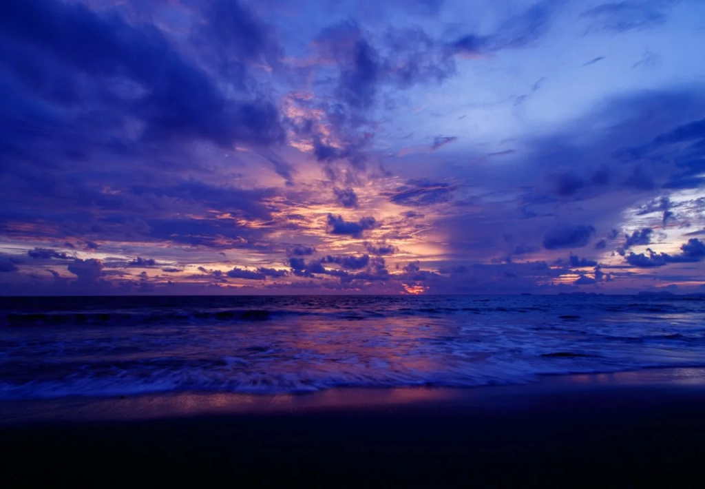 Beach & Waterfront