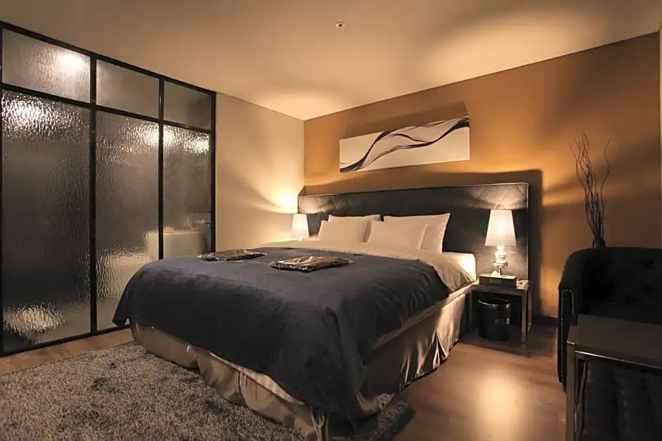 Standard Double room with city view (full double bed)