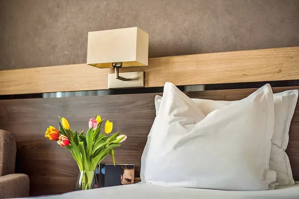 Dunav Plaza Hotel - Chambres