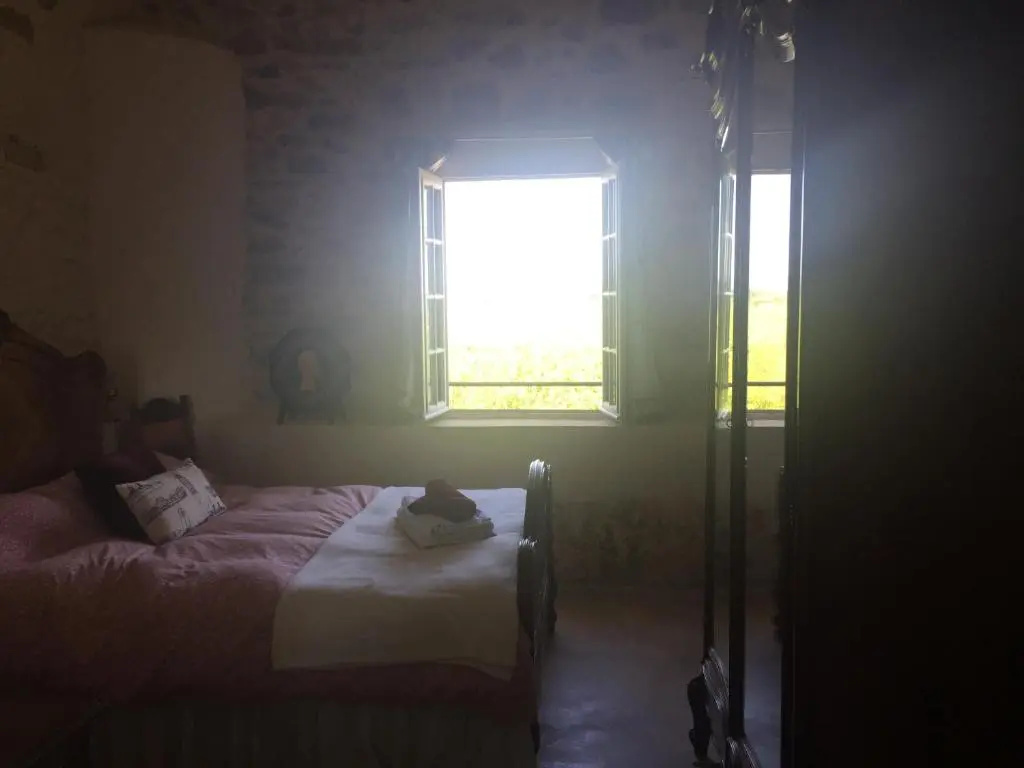 Voir la photo 4 — Cave Cervera