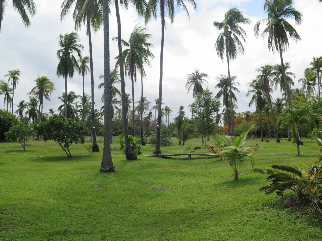 Bahura Resort and Spa - фото 13