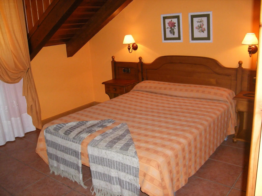 Standard Double room (full double bed)