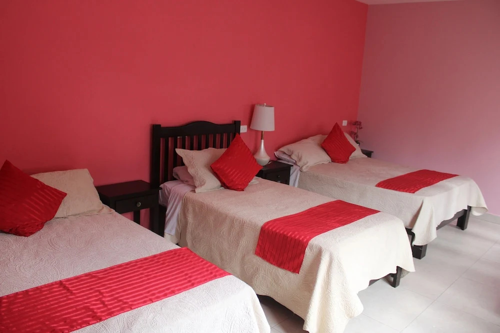 Hotel Boutique La Orquidea - Chambres