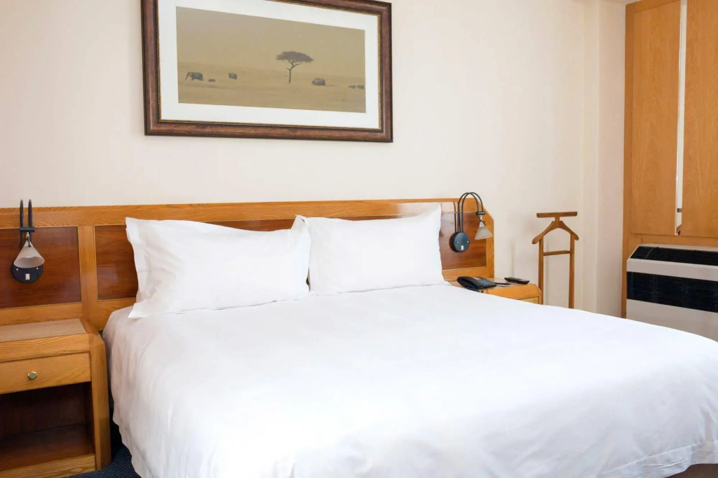 Sierra Burgers Park Hotel - Général
