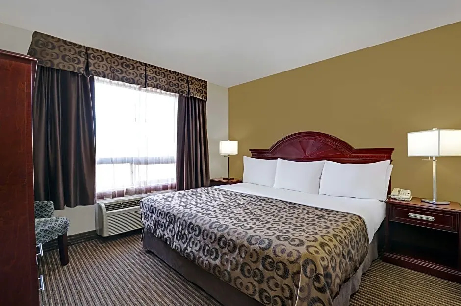 1 Bedroom Suite