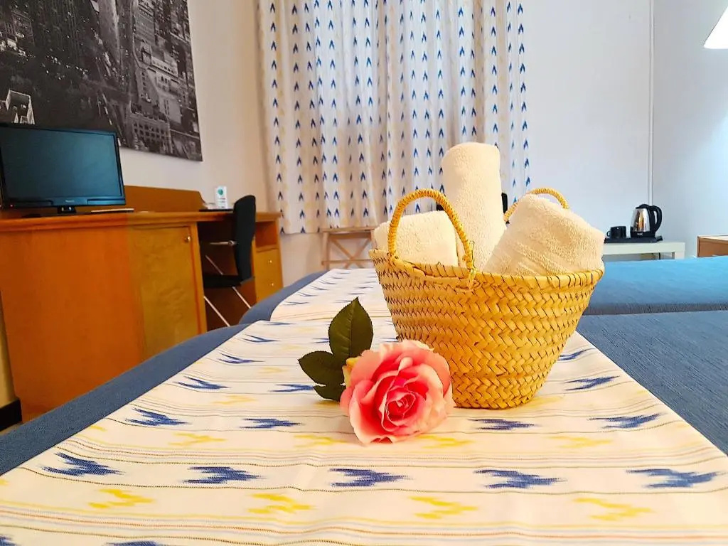 Standard Double room (twin beds)
