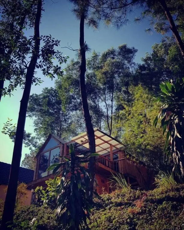 Phu Ninh Lake Resort - Chambres