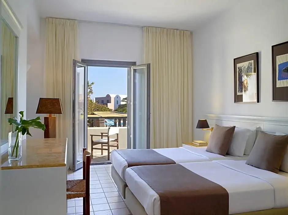 Standard Double room with garden view (full double bed)