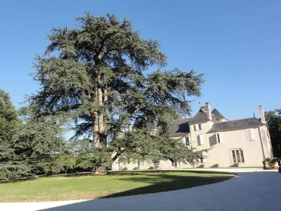 Chateau De Darrech