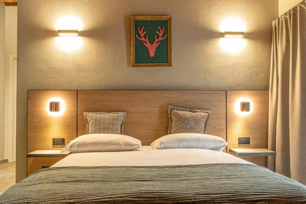 Standard Double room (full double bed)