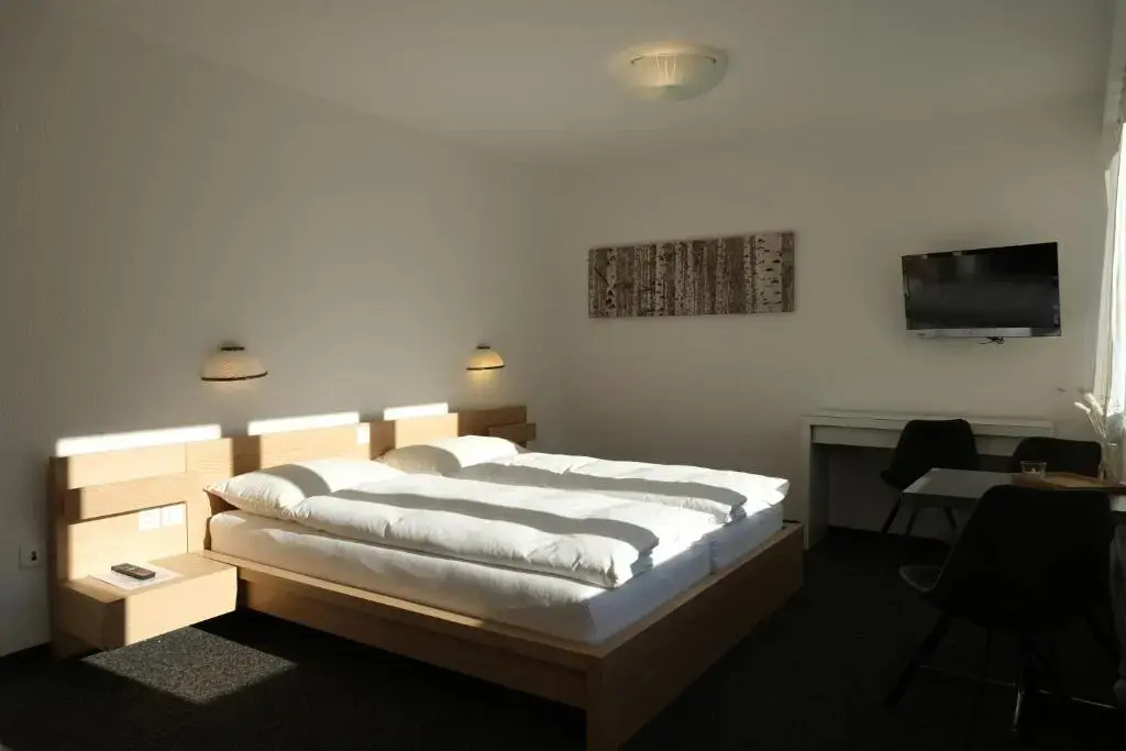 Standard Double room (twin beds)