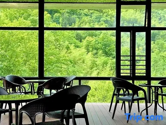 Balcony & Terrace