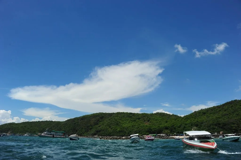 Beach & Waterfront