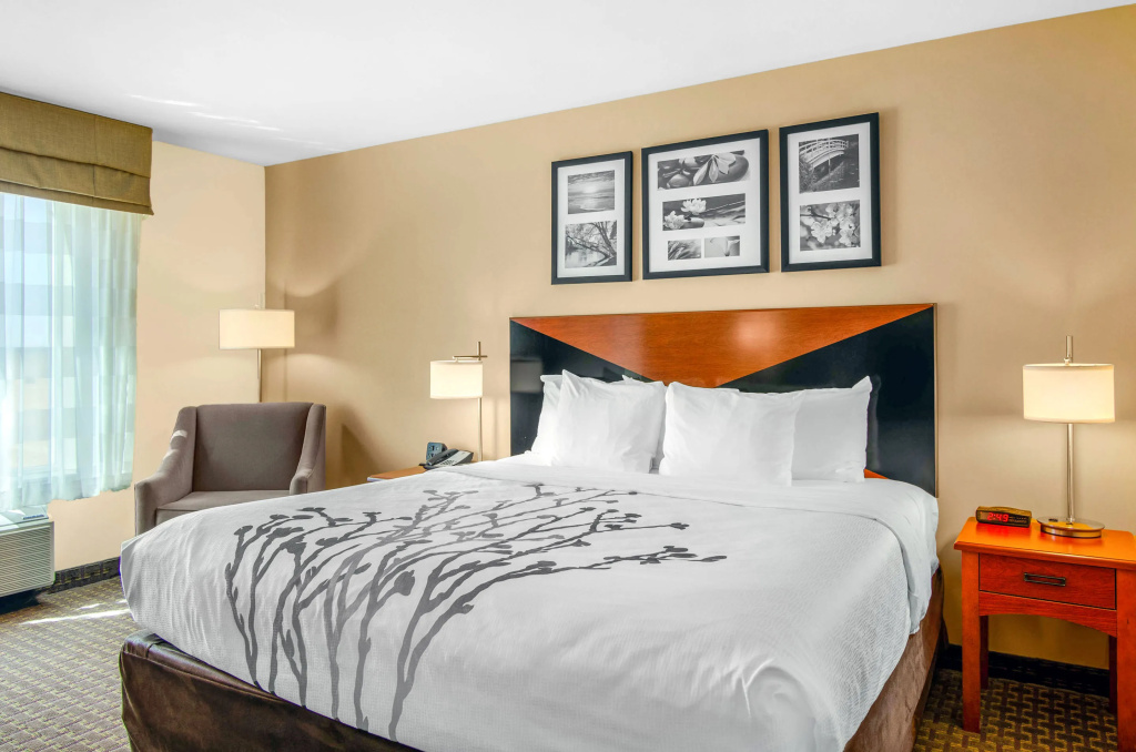 Garner Hotel Idaho Falls Southwest by IHG - фото 3