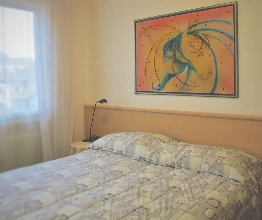 Standard Double room with mountain view (full double bed)