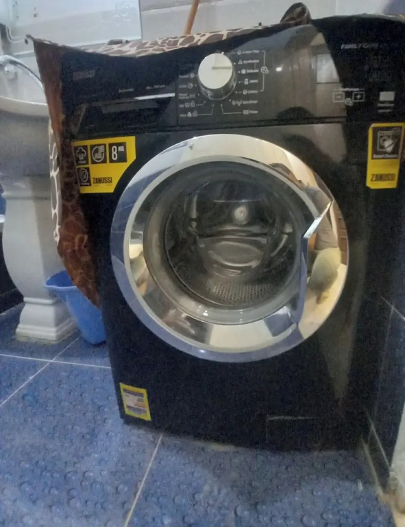 Lotus — фото 2