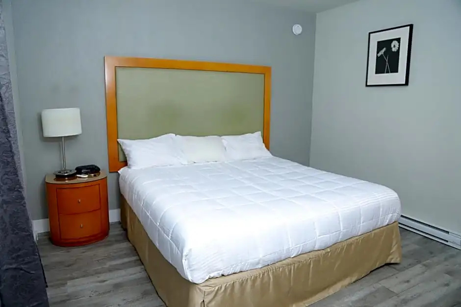 Double Studio (full double bed)