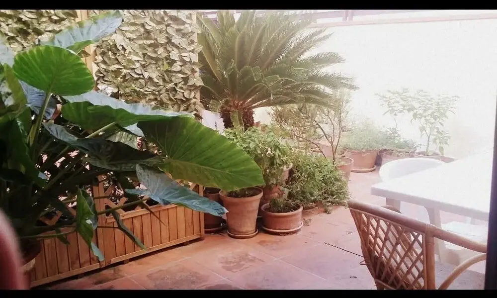 Casa Vacanze Nel Cuore del Salento