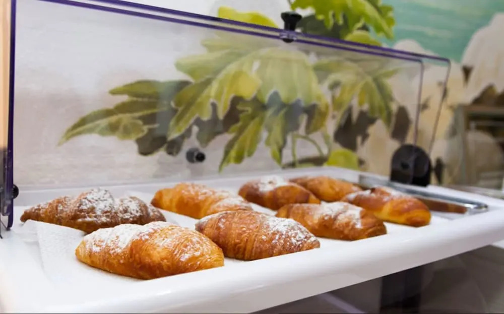 Palau City Hotel - фото 13