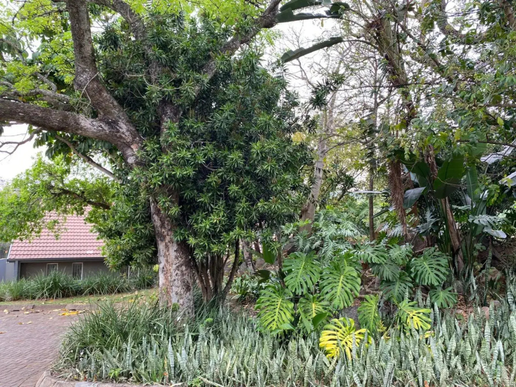 Endonini House
