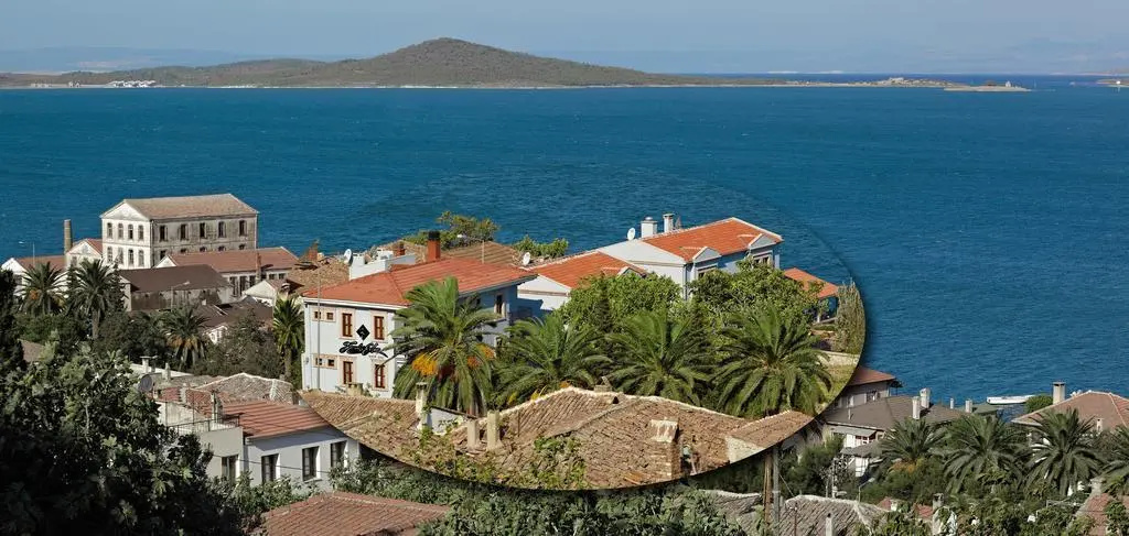 Beach & Waterfront