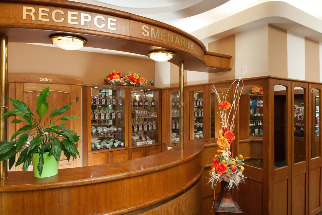 Wellness Hotel Windsor - Général