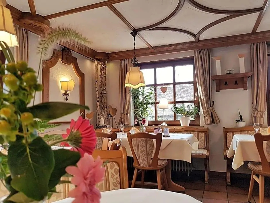 Hotel Rosenbusch - Général