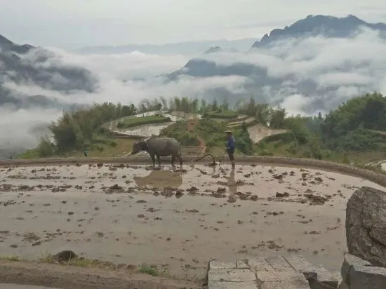 Yunhe Terraced Fields Homestay in Lishui