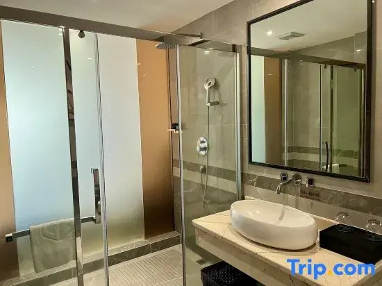 Standard Double room with city view (twin beds)