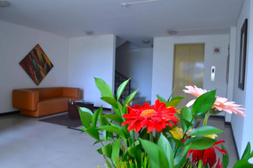 Hotel Pinares Plaza - Général