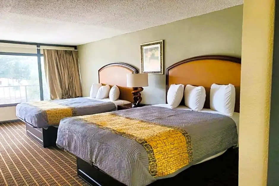 Palmetto Inn & Suites - Chambres