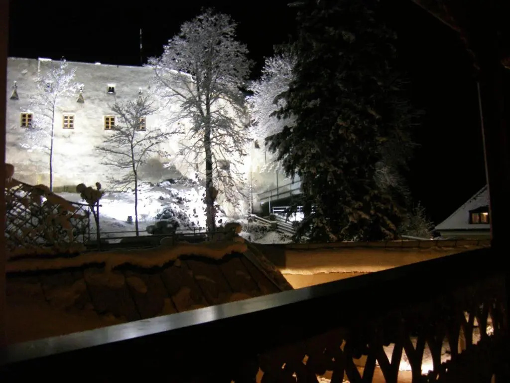Gasthof Goldene Traube - Chambres