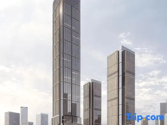 ALLIA Platinum Executive Suite Hotel (Chongqing Guanyinqiao Pedestrian Street)