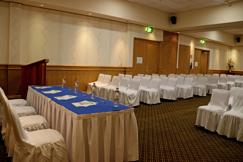 Holiday Inn La Piedad by IHG - Général