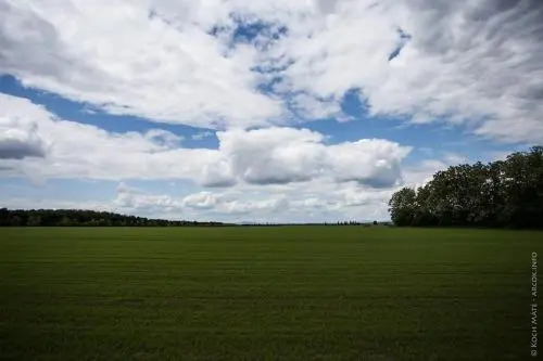 Pertu Porta - фото 7