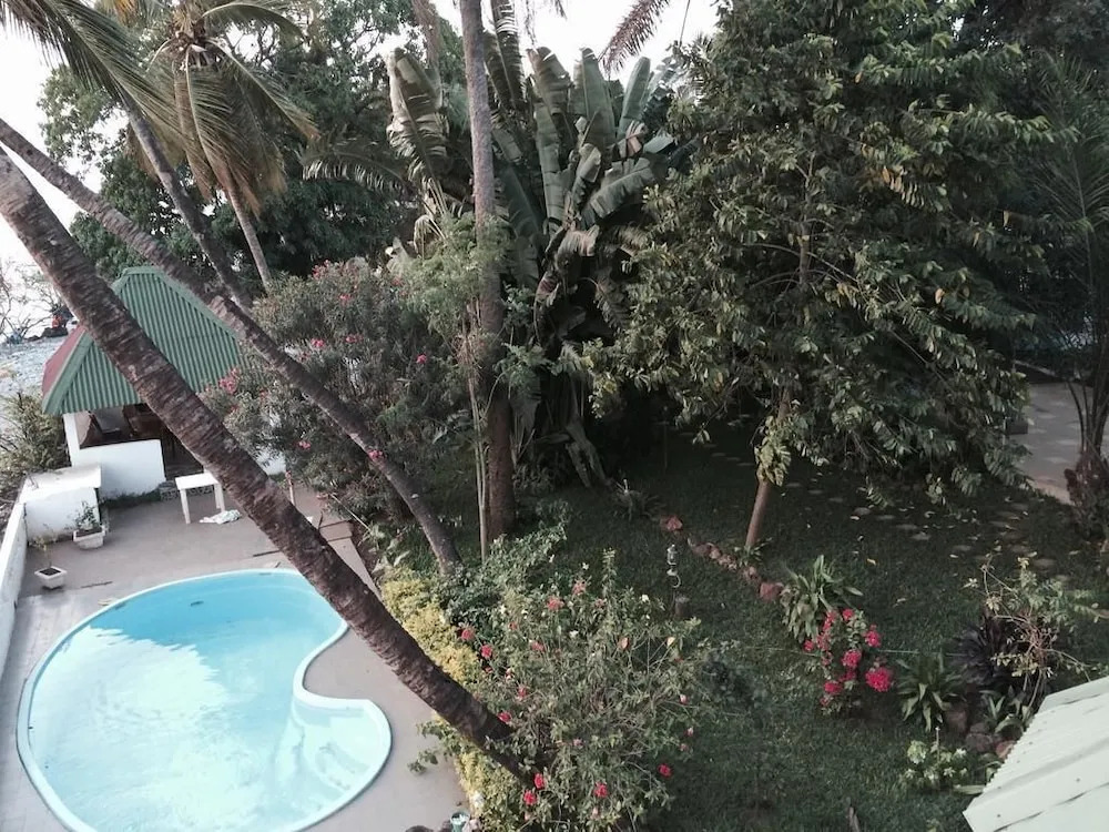 Pension Les Palmiers — фото