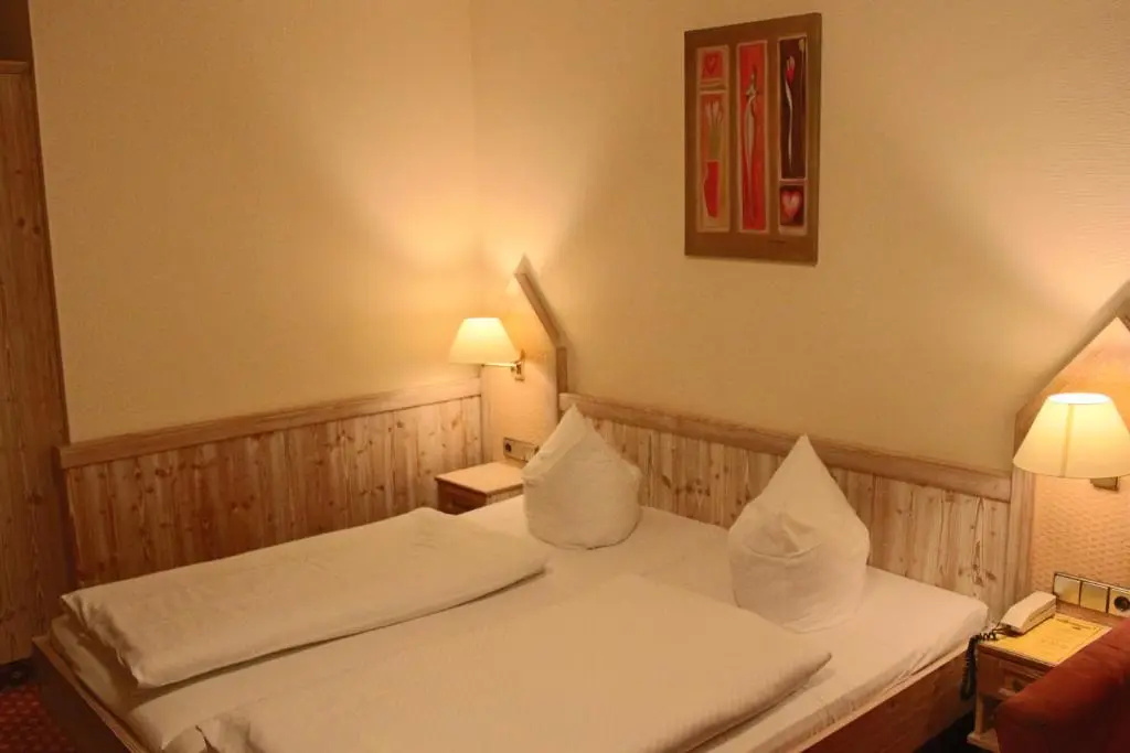 Comfort Double room (full double bed)