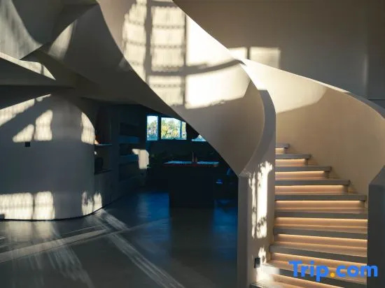 Balcony & Terrace