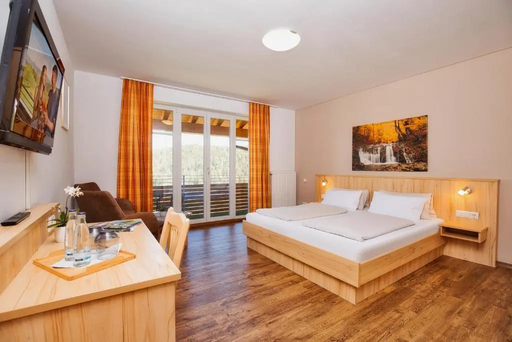 Standard Double room with mountain view (full double bed)