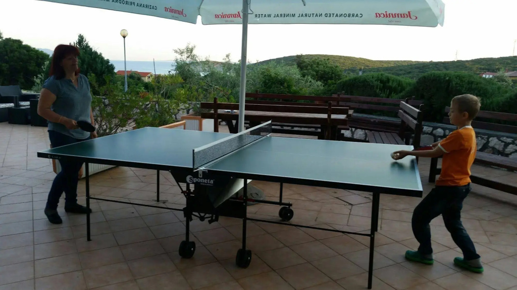 Hotel Zlatni Lav - Général