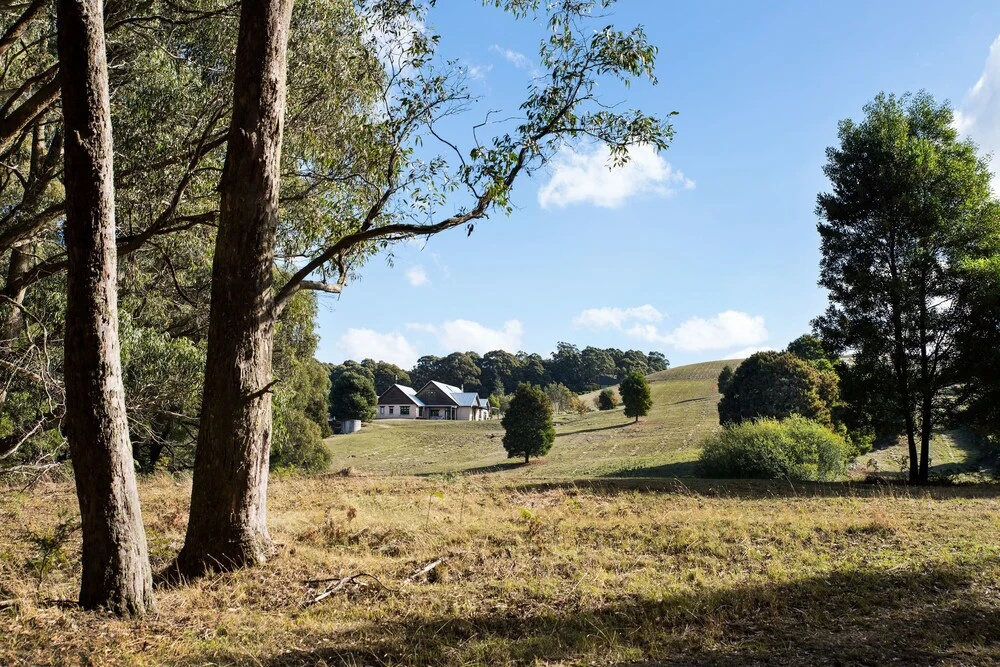 Three Paddocks