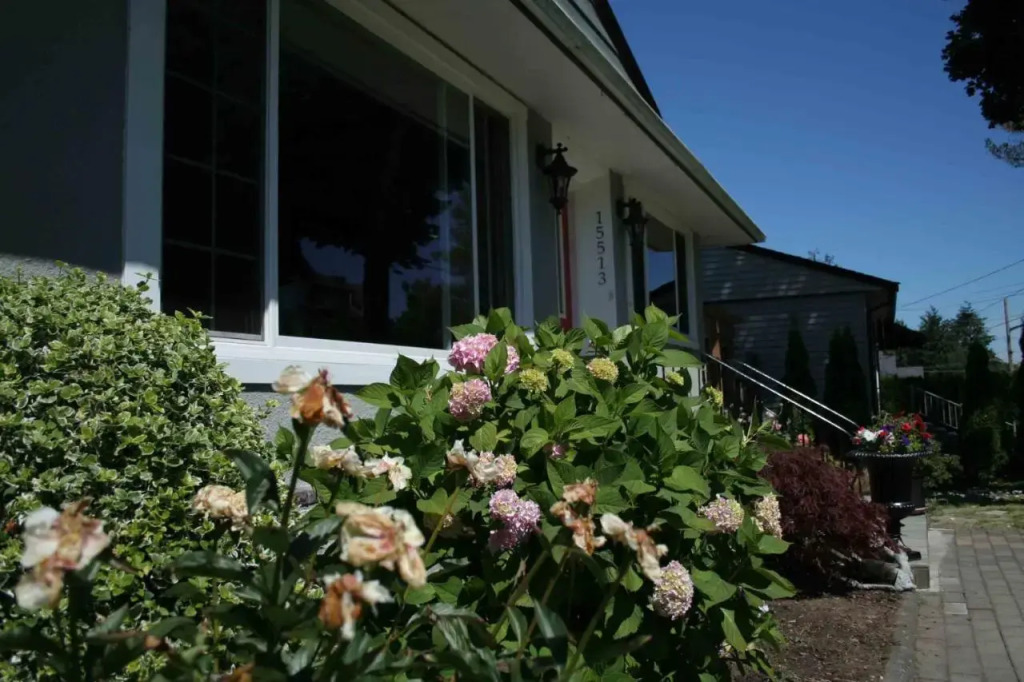 Semi Centre House - фото 10