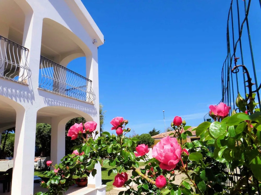Hotel Tartaruga Bianca