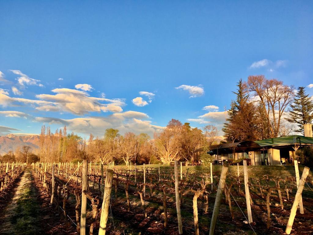 Salentein winery and inn Salentin by null